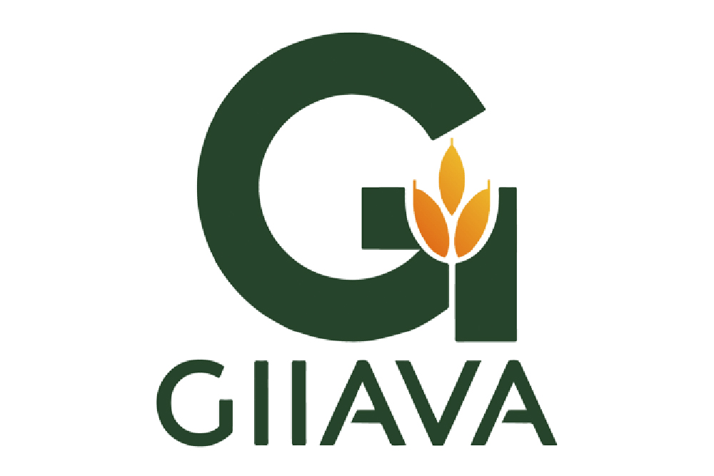 GIIAVA INDIA PVT LTD